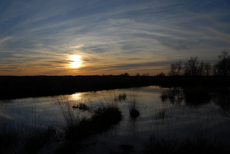 DSC_0240.JPG
