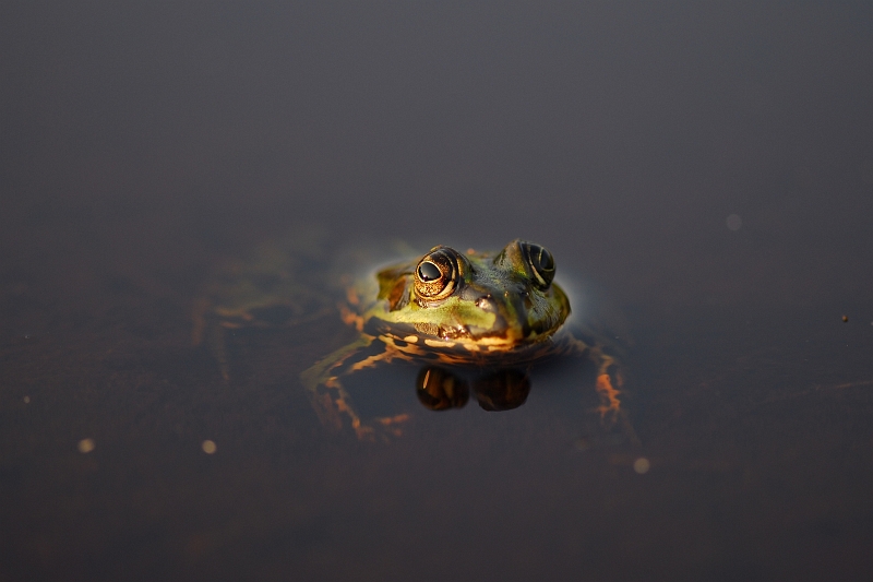 DSC_5411.JPG