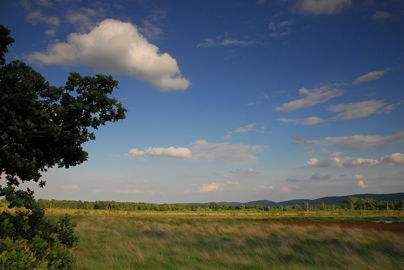 Landschaft_Hiller_Moor.JPG