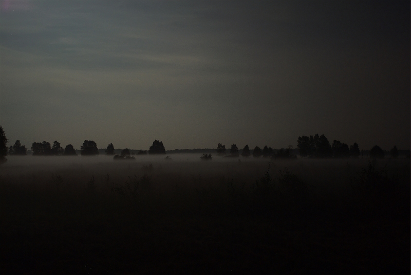 Mond_Nebel_im_Moor_II.jpg