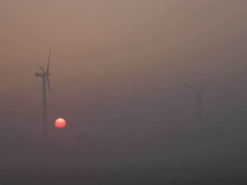 Sonnenaufgang_Windraeder.jpg