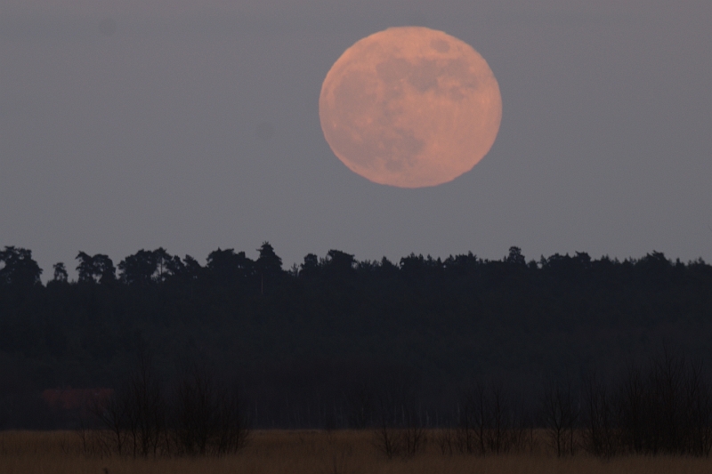Sonnenuntergang_Moor.jpg