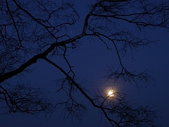 DSCN0033
