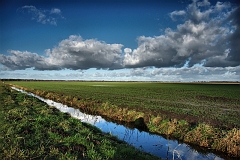 Diepholzer_Moorniederung