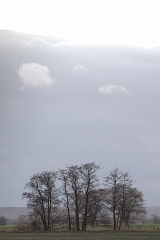Hiller_Moor