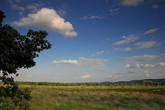 Landschaft_Hiller_Moor