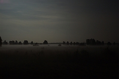 Mond_Nebel_im_Moor_II