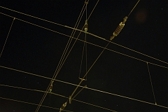 Oberleitungen_Bahnhof_Nacht_Herford