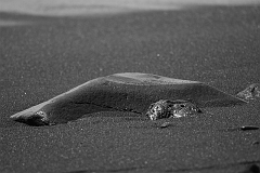 Sandstrand_La_Palma