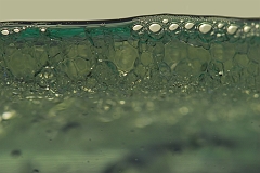 Wasser_Oel_1